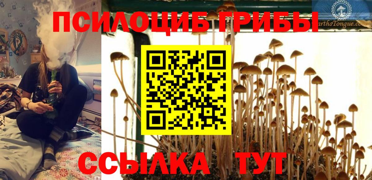 Канабис  NBOMe  ЭКСТАЗИ  Лсд 25  Вход с VPN  Трёхгорный  Мефедрон кристаллы  АМФ кристаллы  ГАШИШ  Кокаин 